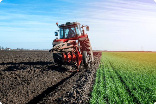 Planting image