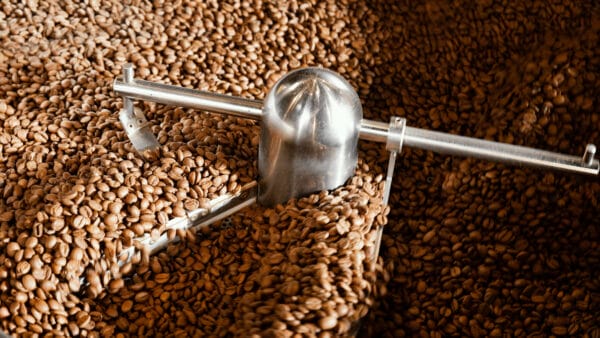 grain grading accessories